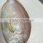 Frozen Red Snapper fish/Red Tilapia with competitive price
