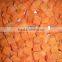 Frozen Carrot Diced