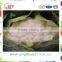 A Grade hot sale fresh cauliflower from Shandong Province