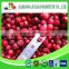 Organic FD Red cranberry whole powder