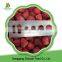 Iqf Frozen Organic Strawberry,Frozen Strawberries Brands Box Frozen Strawberries