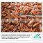 Dried red shrimp supplier from China