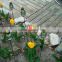 Mini Mason Canning Fruit Jar Garden Patio Stakes NO LAMPS