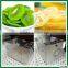 Hot! Professional Manufacture for mini vegetable dryer machine