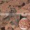 Camouflage Netting / Camo Net Fire Retardant Camo Nets For Hunting, Shooting, Garden Screening