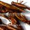 Microwave Dried Locusts For Bird & Fish Food
