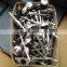 galvanized roofing nails with umbreall head