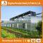 Factory price trade assurance greenhouse accessories- low cost agricultural PC greenhouse for tomato