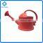 3.8L Garden Plastic Watering Can, Garden Watering Pot