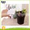 Meaty plant extrusion type plastic kids watering can