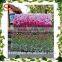 Latest design garden suplies artificial green grass wall/ flower wall/ vertical grass wall for landscaping