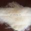 Dehaired And Carded Chinese Sheep Wool White 21.5mic/34-36mm