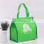 green non woven cooler bag