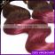 new products Ombre Peruvian Virgin Hair Red Ombre Peruvian Hair Burgundy Hair Body Wave Wavy 3pcs lot 1B Red 3Pcs Lot