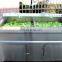 Customized electric tomato lettuce vegetable washer