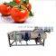 companies looking for distribute chili cabbage lettuce fruit vegetable cleaning machine