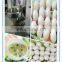 Chicken meatball forming machine/beef meatball making machine/meatball rolling machine