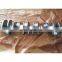 Для запчастей Cummins ISDE QSB6.7: коленчатый вал 3974538 4934862 5301009 3968164 5301008