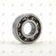 Process Production Ethiopia Conveyor Idler Roller Bearing 6204 C3
