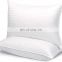 Natural  White Goose Down Feather Pillow Insert