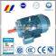 Yutong three phase 380v YE2 asynchronous vertical horizontal B5 mounting way electric ac motor