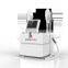 Body Shaping Slimming Beauty Machine For Salon Use