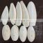 bulk high quality cuttlebone cuttle fish bone cuttlefish bone for birds
