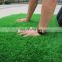Residential yards grass for carpets