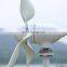Customized Acceptable Domestic Wind Turbine 600w