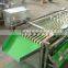 Onion Bulb Grading Machine Pineapple Sorting Machine Citrus Fruit Sorting Machine