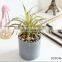 Factory Direct Sales Mini Cute Lifelike Cheap Garden Decor Faux Potted Plants And Succulents Artificial Flower Plant Home