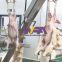 Halal 400 Lamb Abattoir Sheep Goat Skin Removed Equipment for Slaughterhouse Machinery
