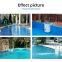Pipeless Filtration Filter Wall Mount Filter with Stainless Ladder Anti-Slip Cover For Swimming Pool