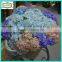 33cm high quality mini fabric wholesale artificial hydrangea flowers                        
                                                Quality Choice