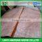 LINYI YATIAN Factory 0.13mm Rotary Cut Okoume Face Veneer Cheap Price ABCD Grade