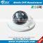 1/3"Sony CCD 700TVL Vandalproof 360 Degree Car Security Camera