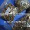 High Quality OEM small brass stamping
