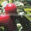 100% PP plastic Anti bird plastic net manufacture/Plant protection net