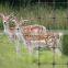 Chemical resistant Deer fencing net/plastic net for farm fence