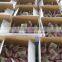 2016 Fresh Garlic/AJO for Colombia Garlic Market 3P/10kg Carton