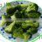 Wholesale Fresh Frozen Broccoli
