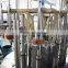 Automatic Glass Bottle Juice Hot Bottling Apparatus