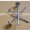 galvanized umbrella roofing nails with plain shank