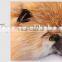 2015 New Fashion Ladies Winter Whole Skins Genuine Fox Fur Scarf