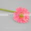 Hot sell fresh cut pink gerbera - egypt mini silk gerbera daisies with 20stems/bundle from Yunnan, China