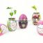 Magic egg with plant,ceramic painting egg planter with flower seeds