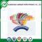 Cupcake wrapper made in China supplier