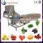Ozone Fruit And Vegetable Washer