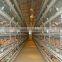 QDXR-4H-4-240 H type automatic chicken layer cage equipment
