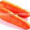 fresh red carrot Chinese Shandong origin fresh carrot price